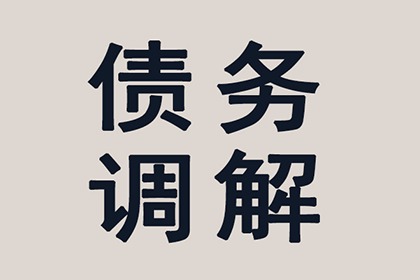 泰安借条担保相关法律咨询及担保人责任解析